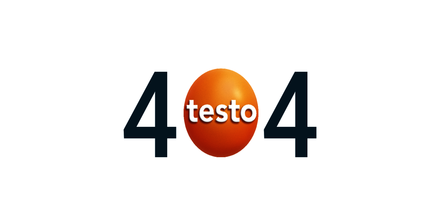 Testo Industrial Services 404